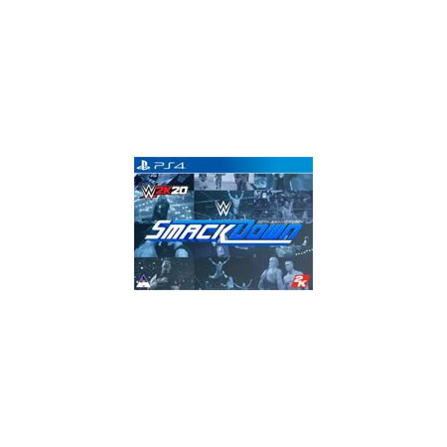 PlayStation 4 Game WWE 2k20 Collectors Edition