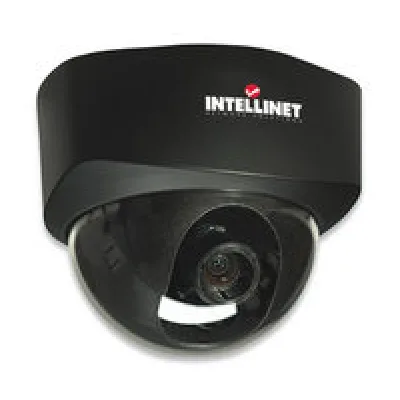 Intellinet NFD30 Network Dome Camera