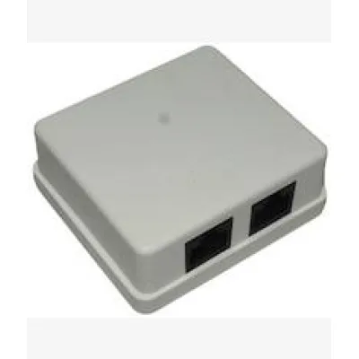 LinkQnet RJ45 CAT 6 Double Wall Mount Surface Box