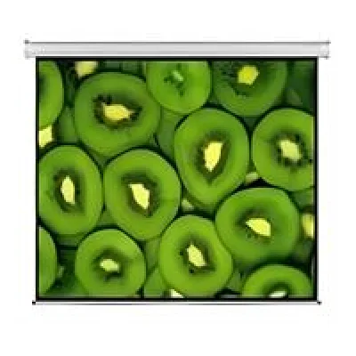Esquire Electric Projector Screen 300 X 169