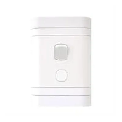 Lesco 2 Pole Flush Isolator Switch with Rectangle Flush