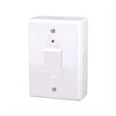 Lesco 2 Pole Surface Isolator Switch Vertical with LED