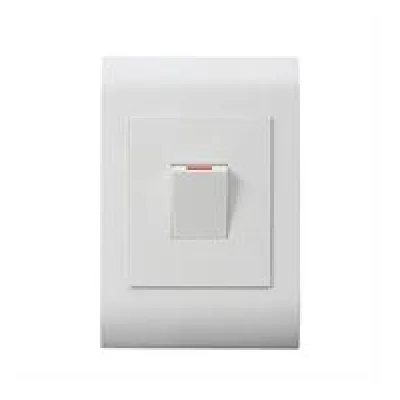 Lesco Pipelli 2 Pole Rectangle Isolator Switch 50A