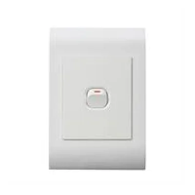Lesco Pipelli 1 Lever 2 Way Flush Switch