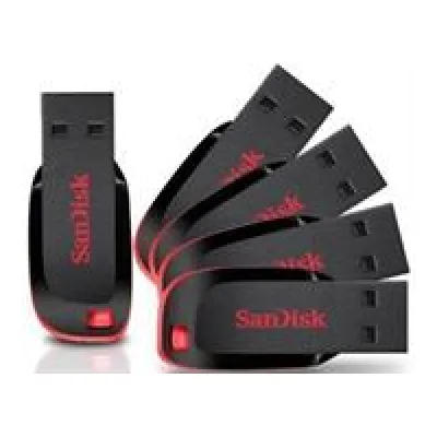 Sandisk Cruzer USB 32GB Flash Drive